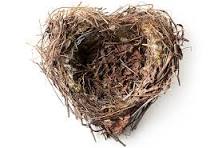 Understanding Your Empty Nest: Embracing the Transition